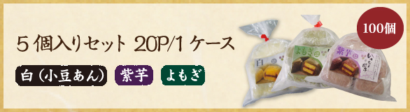 5個入りセット 20P/1ケース