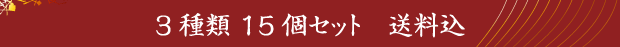 3種類 15個セット　送料込