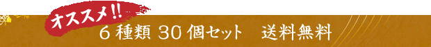 6種類 30個セット　送料無料