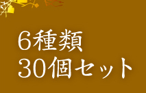 6種類30個セット