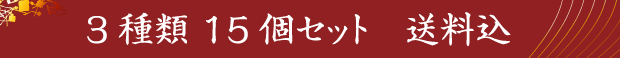 3種類 15個セット　送料込