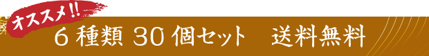 6種類 30個セット　送料込